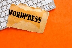 טיפים לאתרי וורדפרס - טיפים וטריקים להנגשת אתרי וורדפרס מקצועית